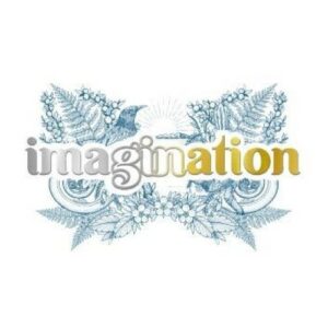 our clients imagination gin